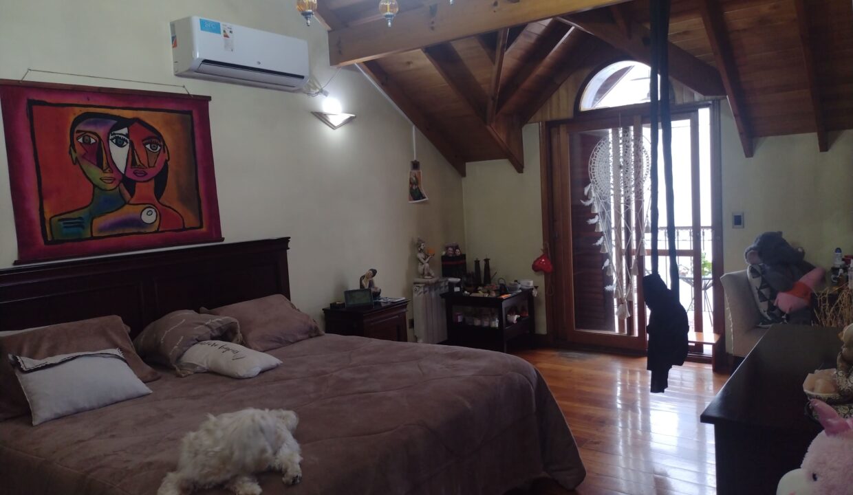 IMG_20220727_161635847