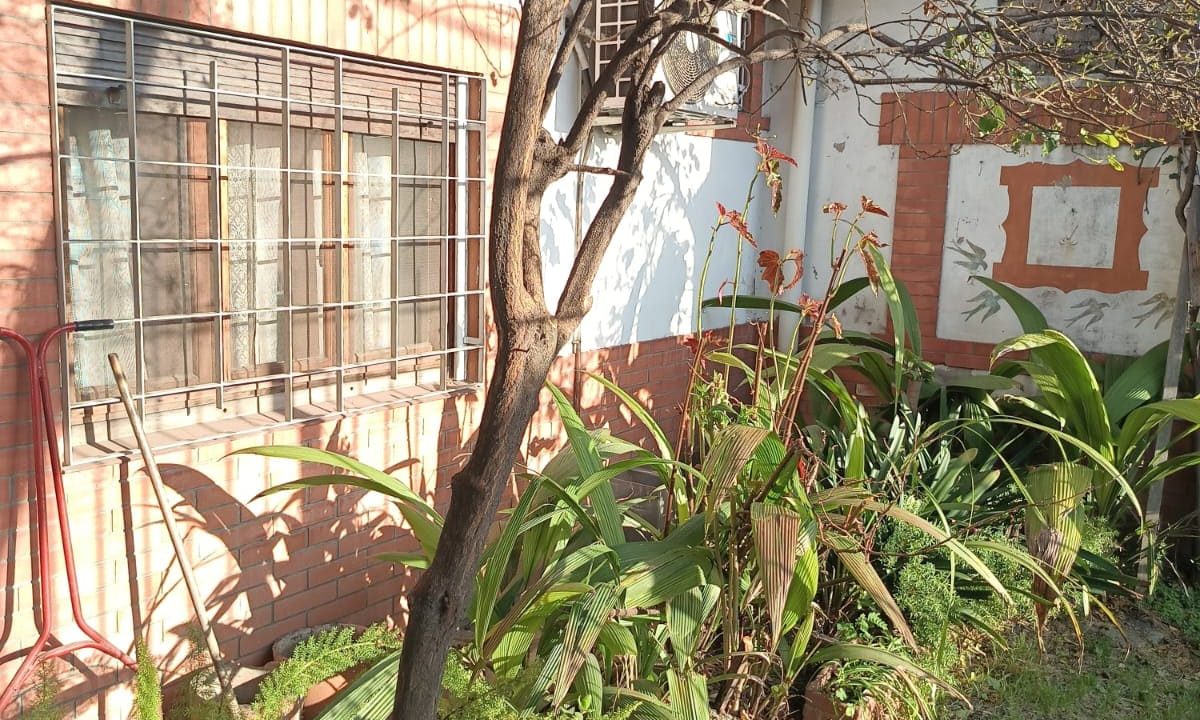 WhatsApp Image 2025-07-30 at 17.49.21