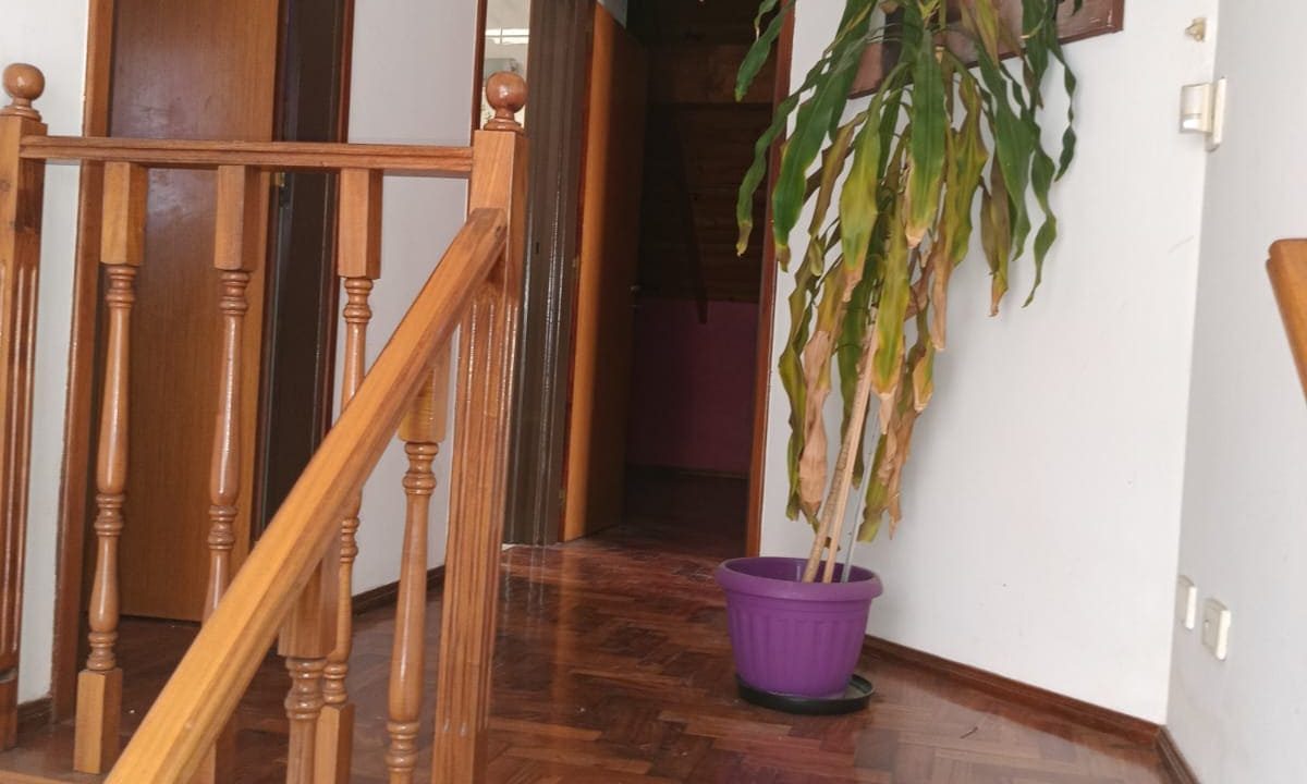 IMG-20250804-WA0114