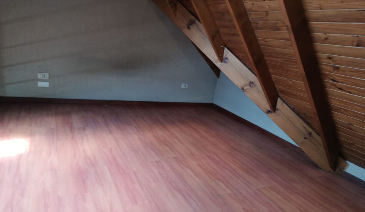 IMG_20251031_113838462