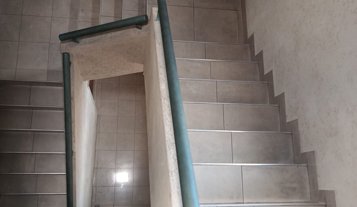 IMG_20251031_114207691