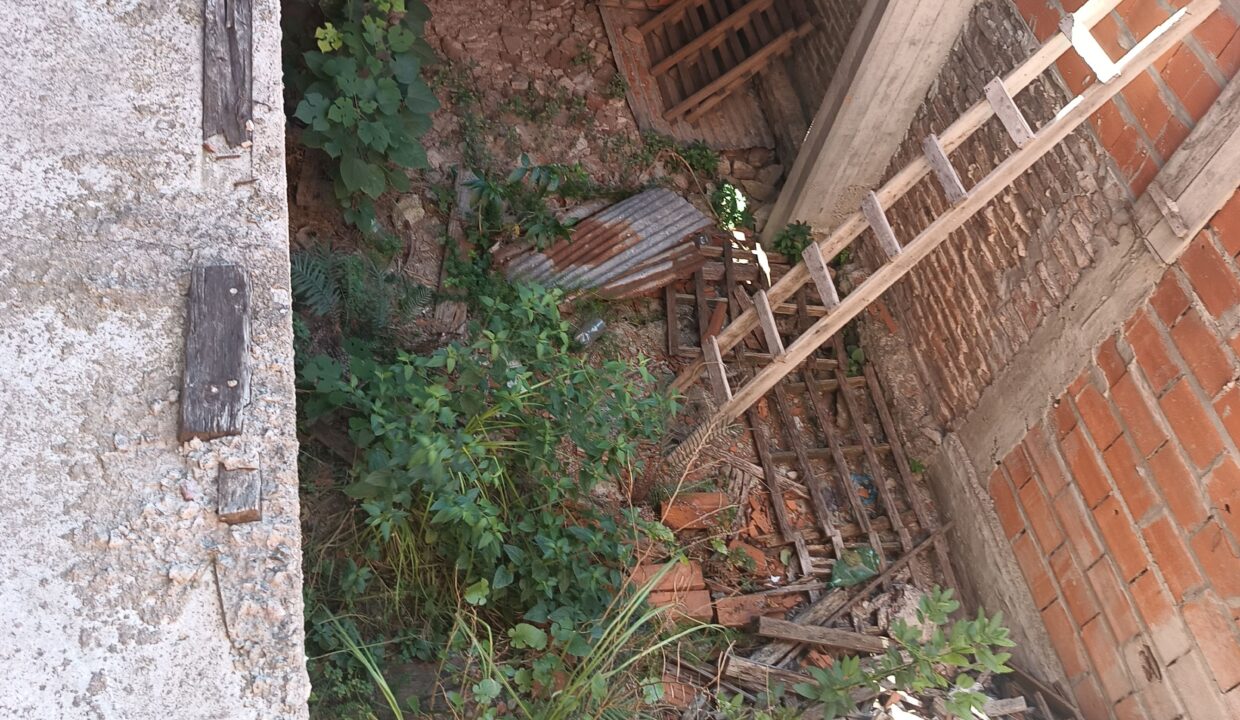 IMG_20260213_105835299