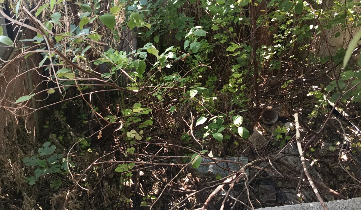 IMG_20260213_105853482