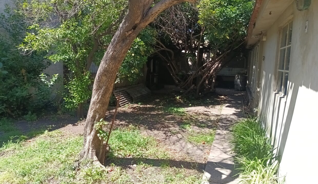 IMG_20260304_130210008