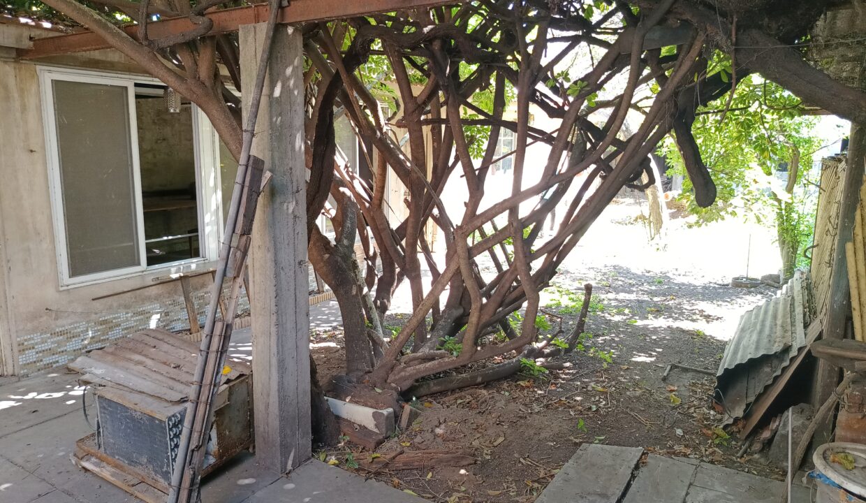 IMG_20260304_130236867