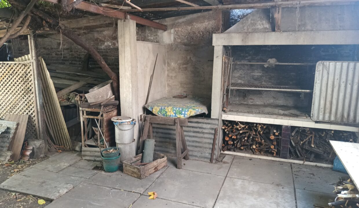 IMG_20260304_130252647