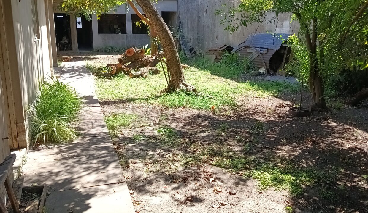 IMG_20260304_130357233