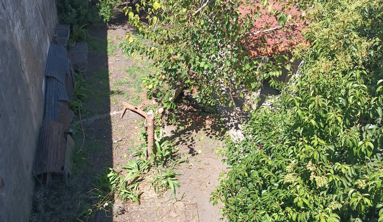 IMG_20260304_131145755